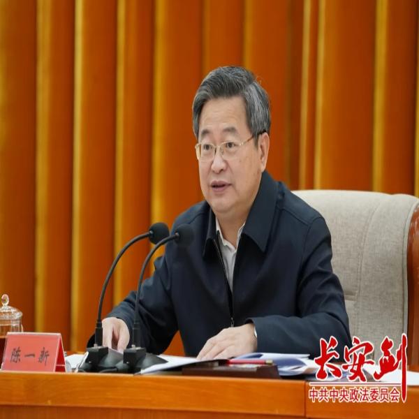 陳一新：發揮“六大作用” 深入推進掃黑除惡